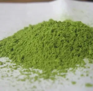 Organic Matcha